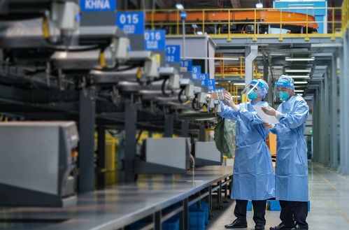 上海外貿韌性強勁 上半年走出V型修復態勢，國內貿易代理持續發力